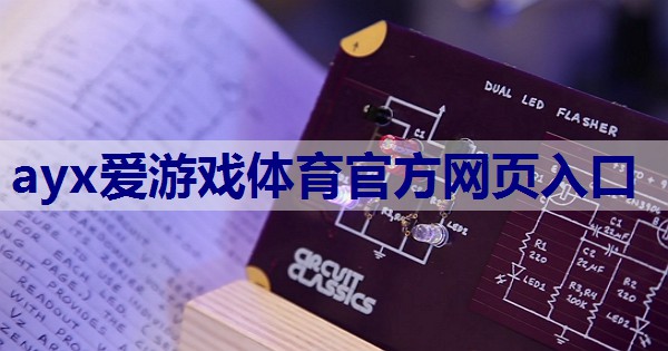 安泰电子功率放大器如何提升音频系统的抗干扰能力？